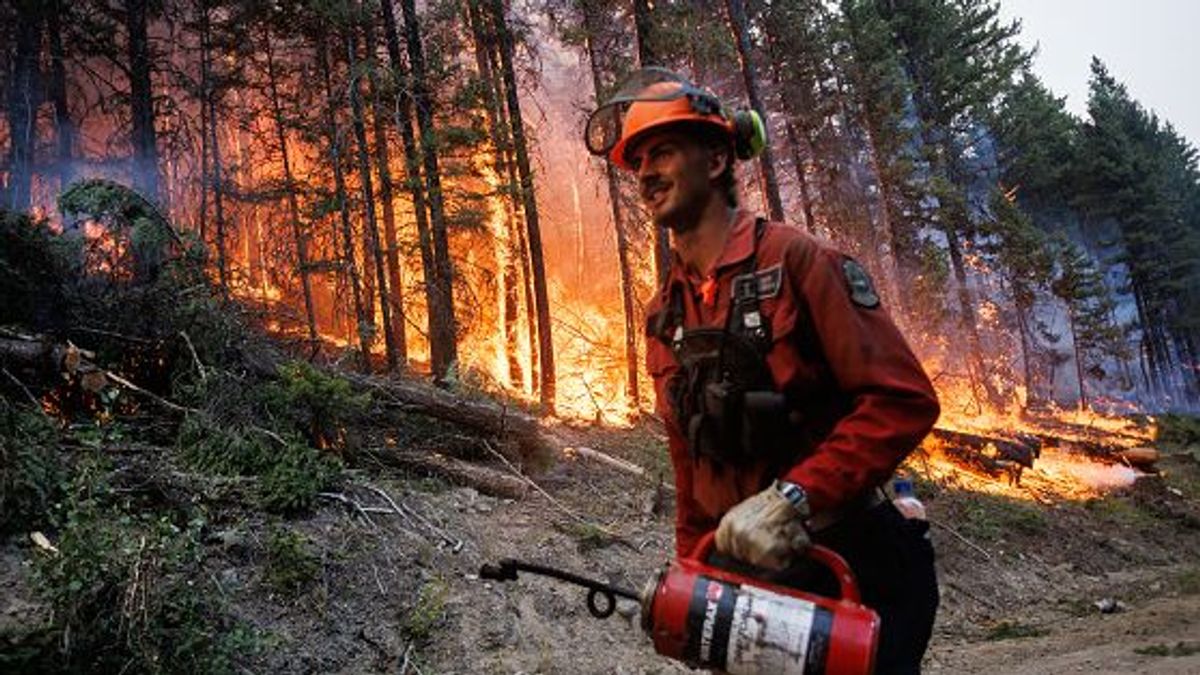Record wildfire season in Canada