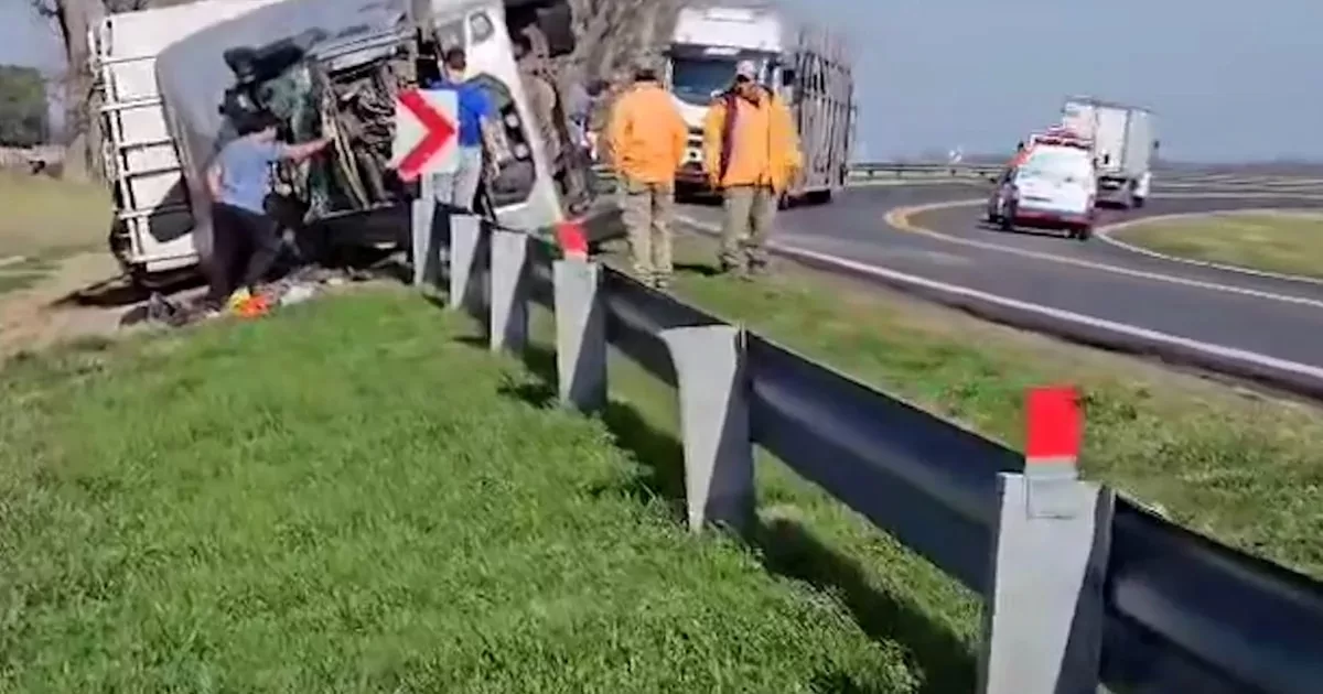 Video: a truck carrying cows overturned and the neighbors slaughtered them in the middle of Route 7
