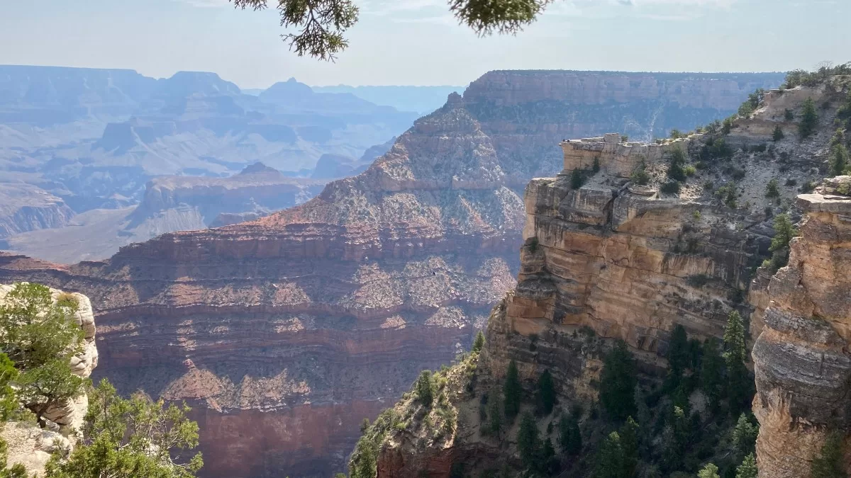 Overturned bus in Grand Canyon leaves one dead and more than 50 injured
