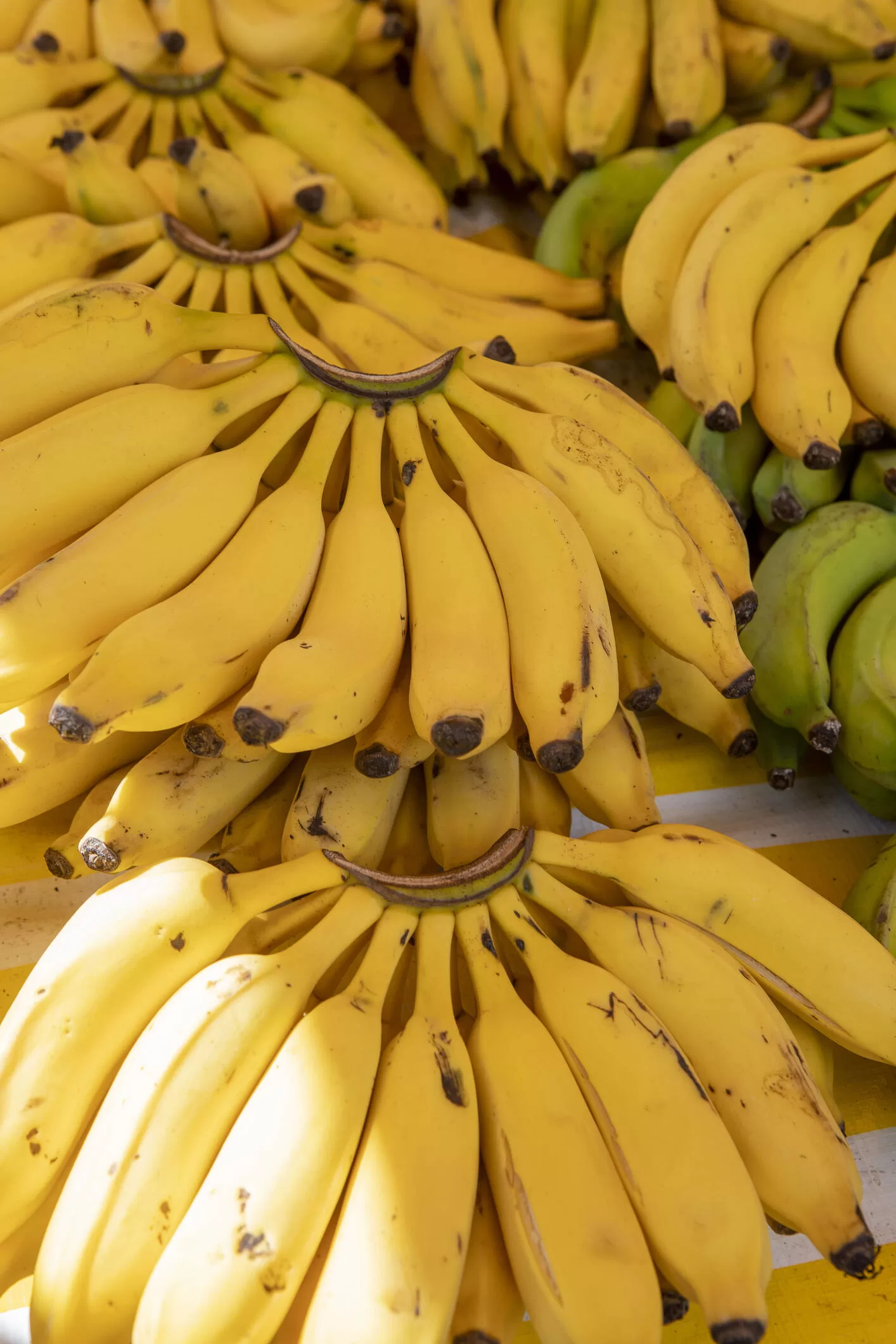 Trick so that the bananas do not blacken and last longer: it is with a plastic bag
