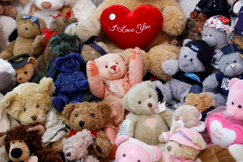From teddy bears to finding out about hormone therapy and mastectomies: patterns that are repeated in adolescents with DGIR (REUTERS/Bernadett Szabo)