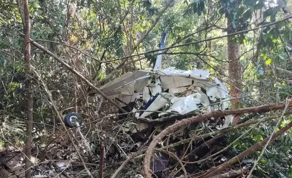 The remains of the plane were found in a forest
