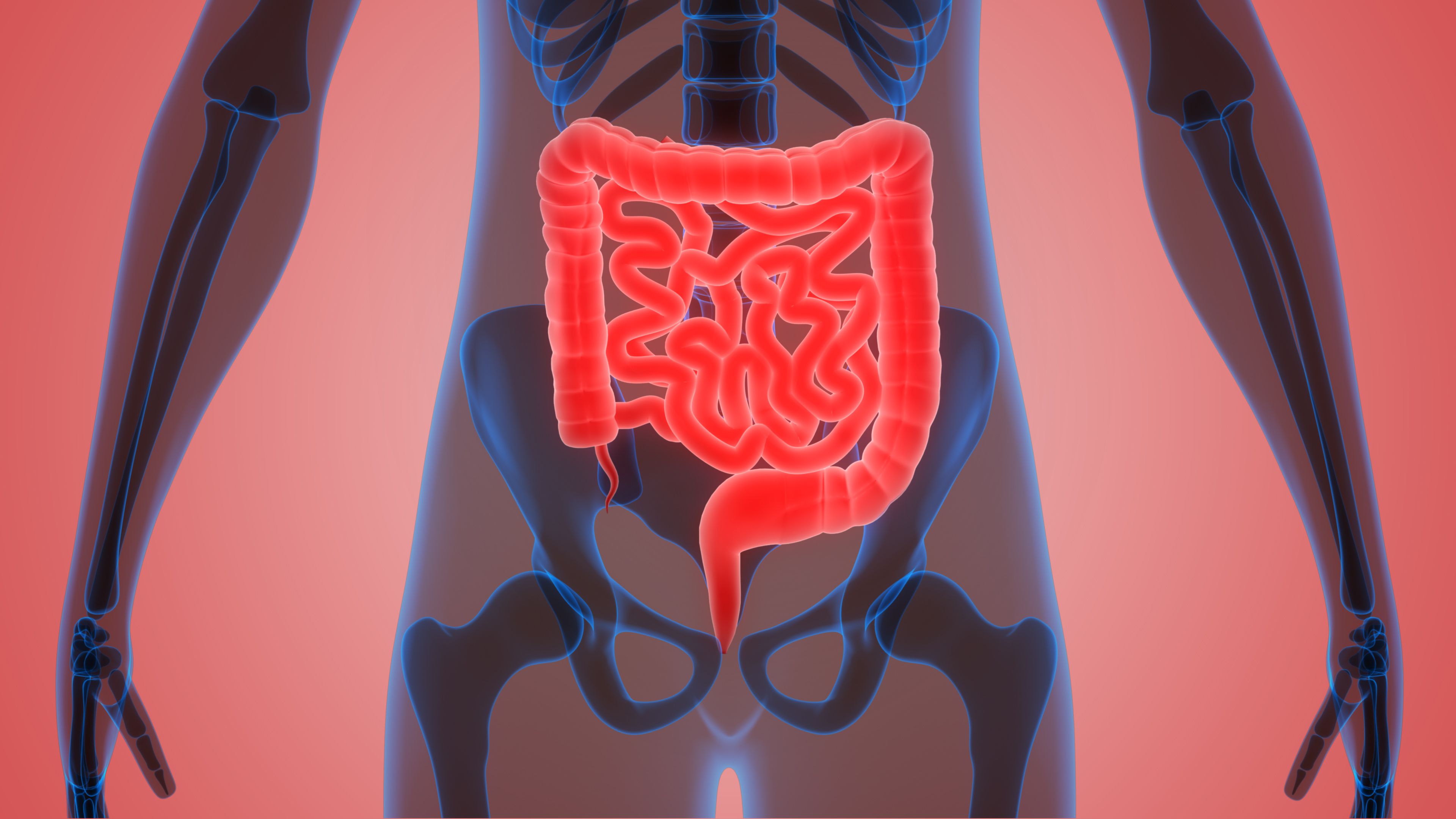 The 'gut-brain connection' in obesity treatments reveals a complex interplay, where gut problems can lead to emotional symptoms (iStock)