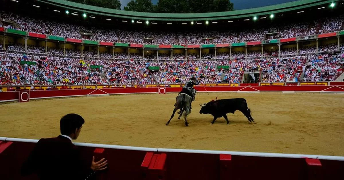 The bullfighting lobby opens "a new stage" after the results of 28-M: the festivities grow by 87%
