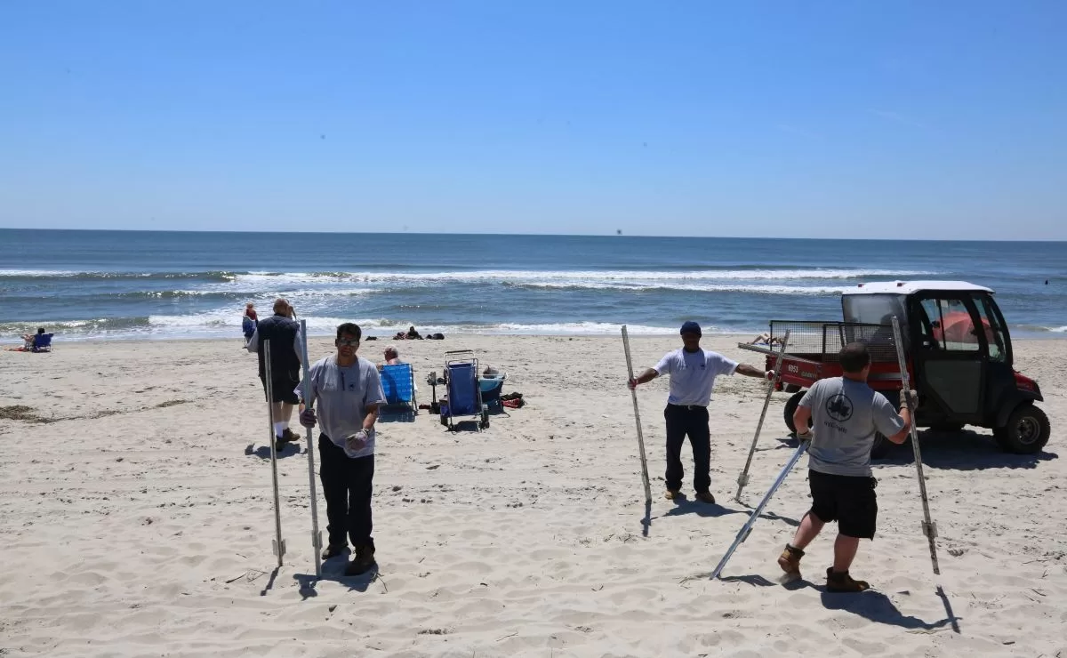 Woman seriously injured after being attacked by a shark in New York: first case in 50 years
