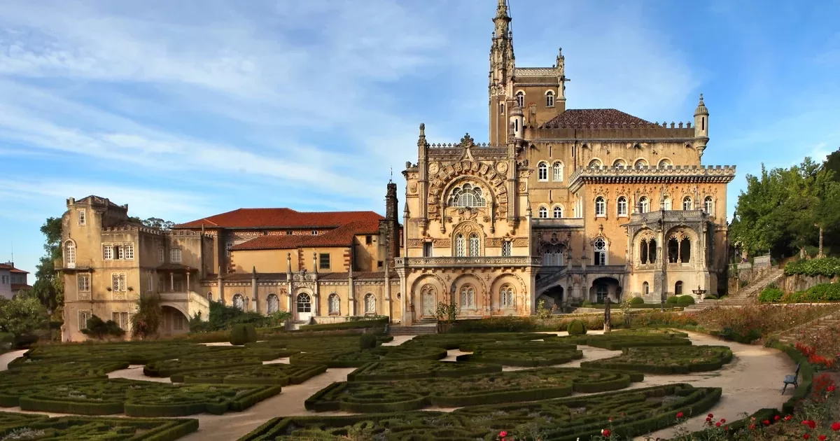 One of the most impressive forests in Portugal: it has a palace, a multitude of trails and 250 species of trees
