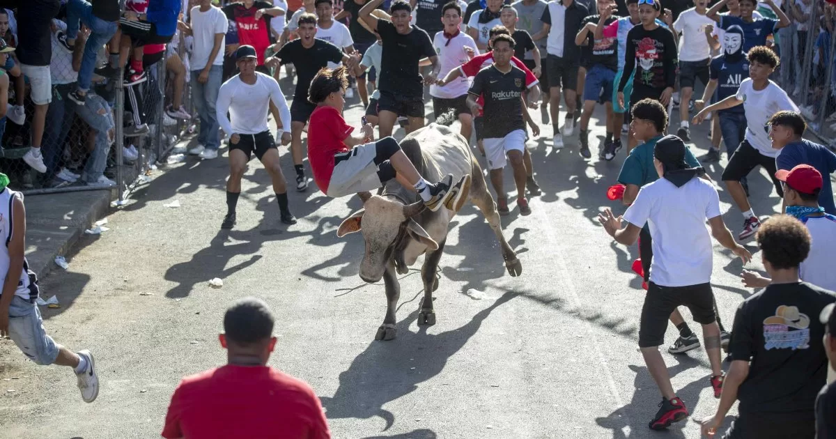 The famous Nicaraguan popular festival starring the bulls that has filled the streets of Managua
