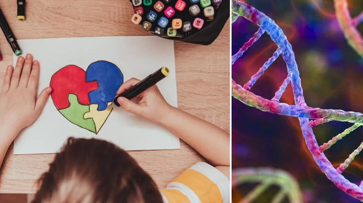 Study finds new genetic clues in families with several autistic children
