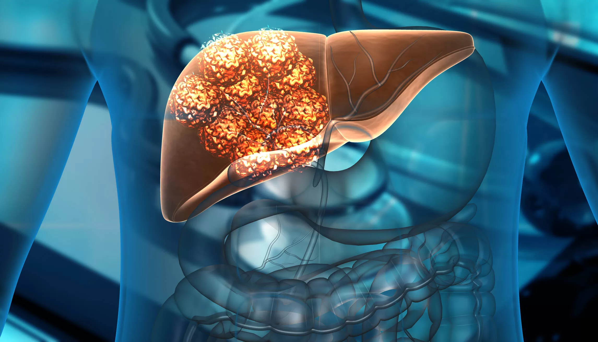 They create a 'humanized' liver in mice that could shed light on serious diseases
