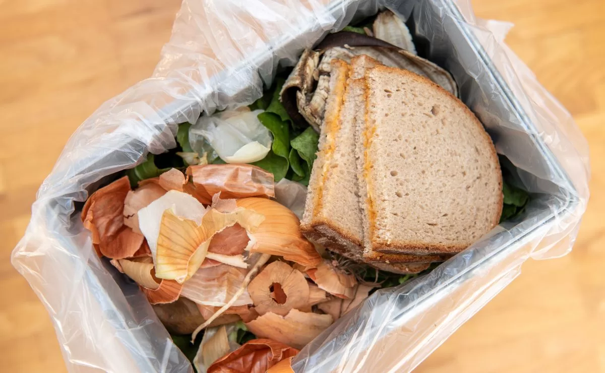 Become aware and make better use of food: recommends the UN to avoid food waste
