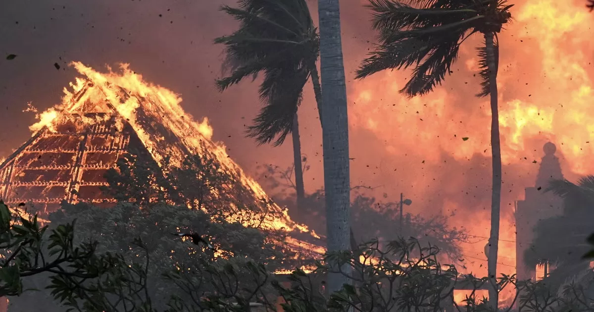 There are already 67 deaths from the fires in Hawaii, becoming the deadliest catastrophe in the history of the state
