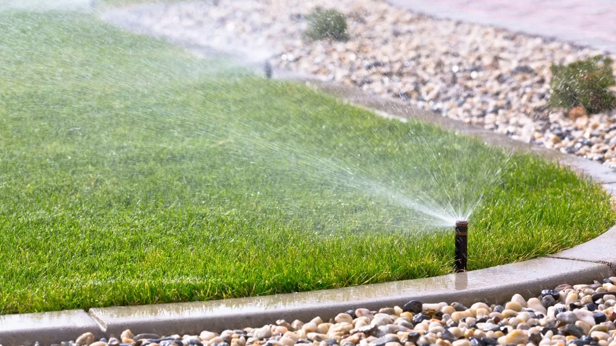 City of Katy drastically restricts landscape watering
