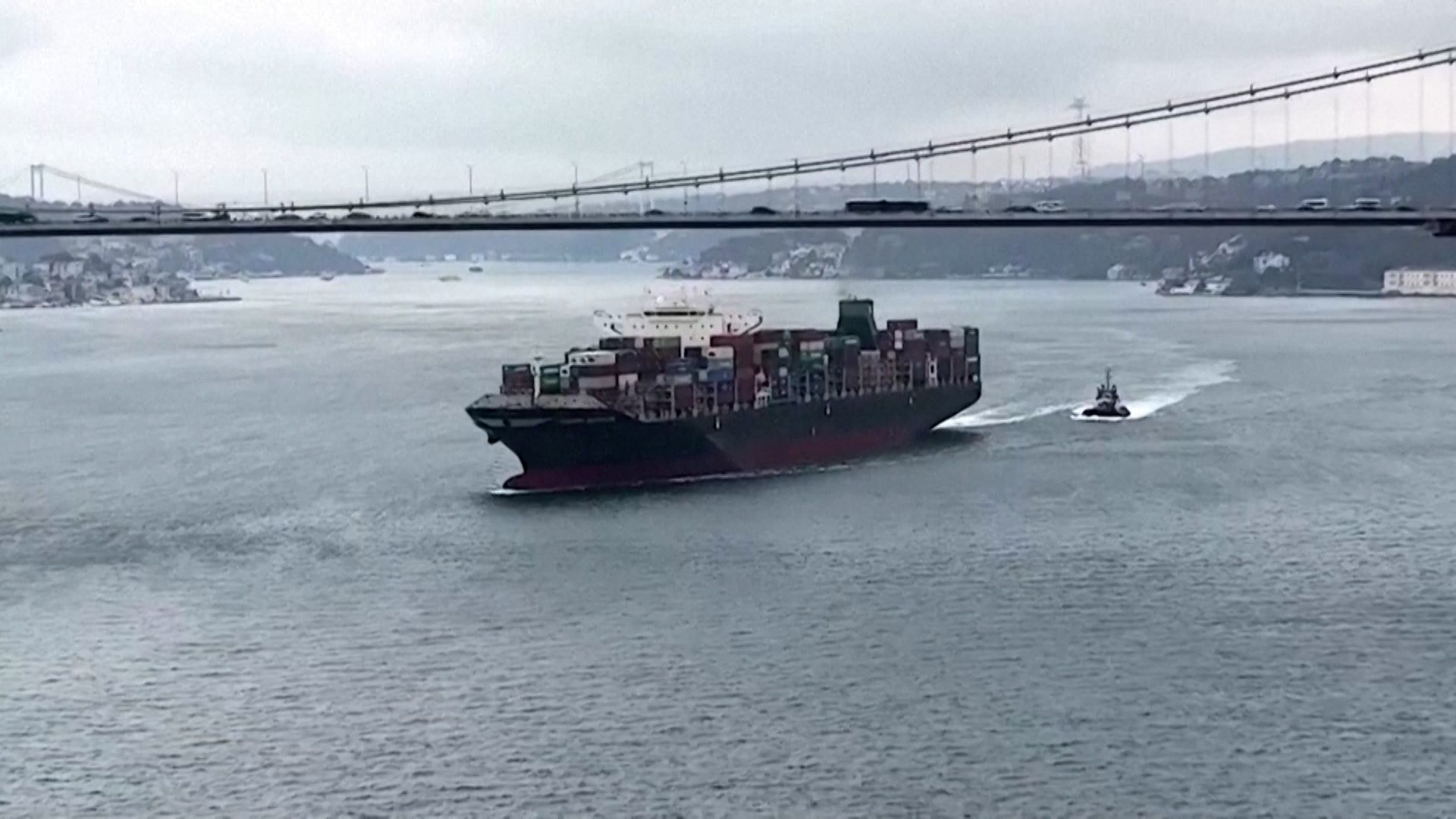 The Ukrainian ship arrived in Istanbul.  Reuters