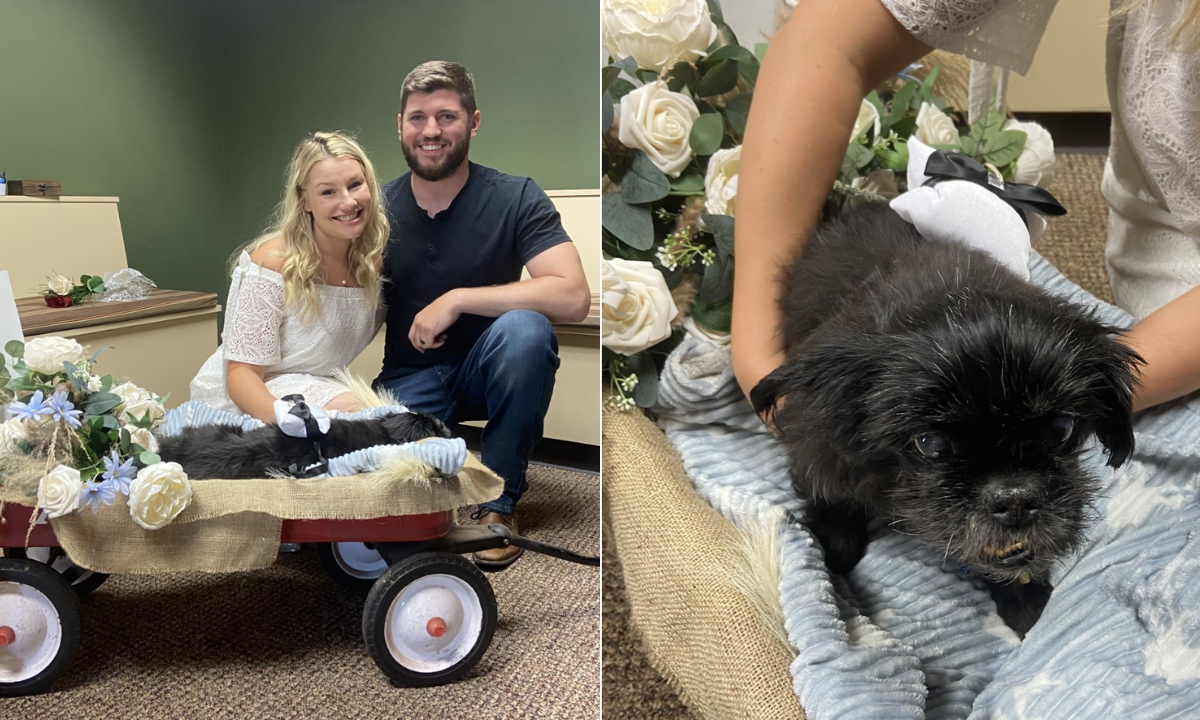Couple celebrated their wedding at a vet so their sick dog could accompany them

