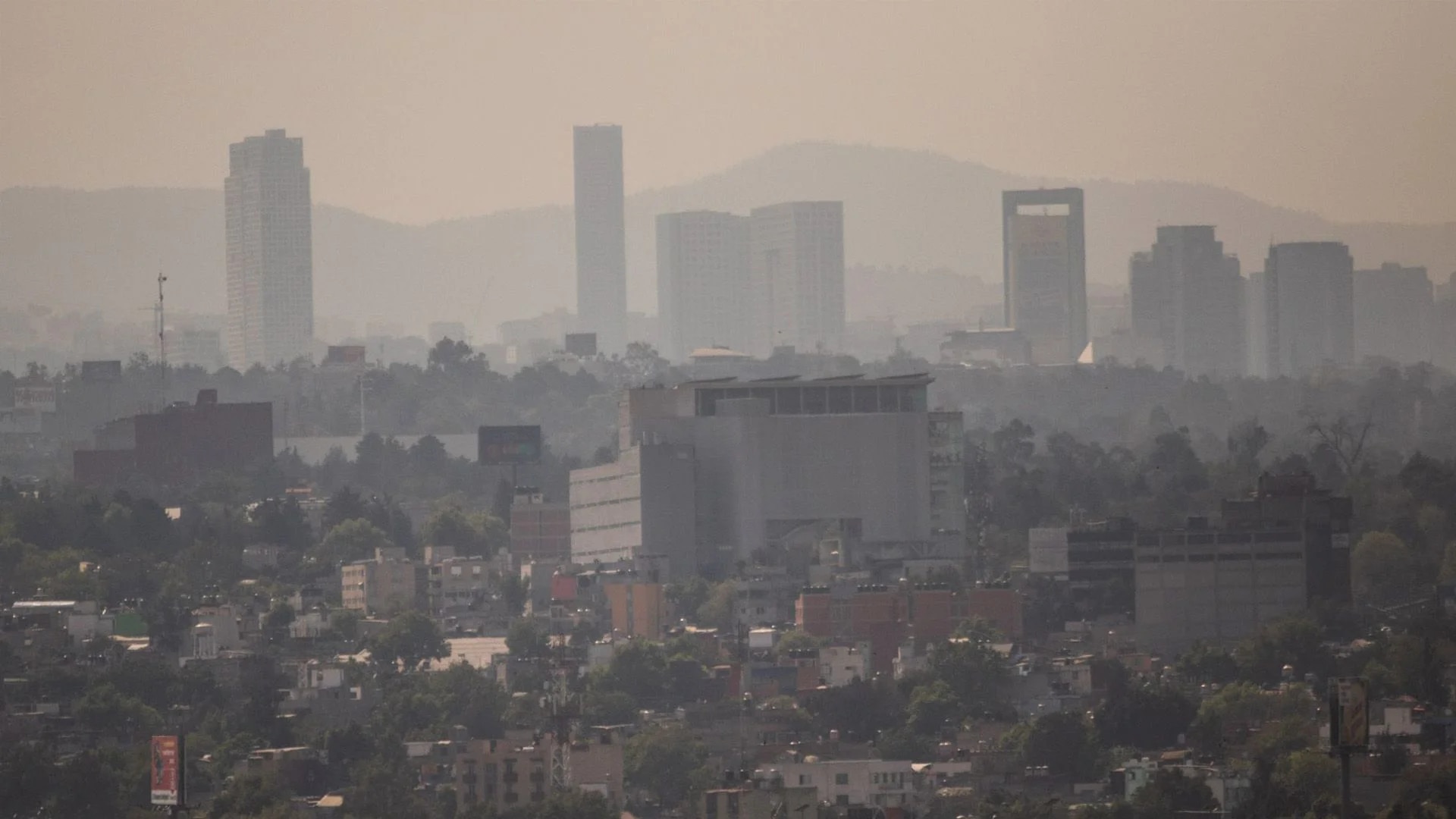 Poor air quality is a serious problem that affects the health of those who breathe it (Cuartoscuro)