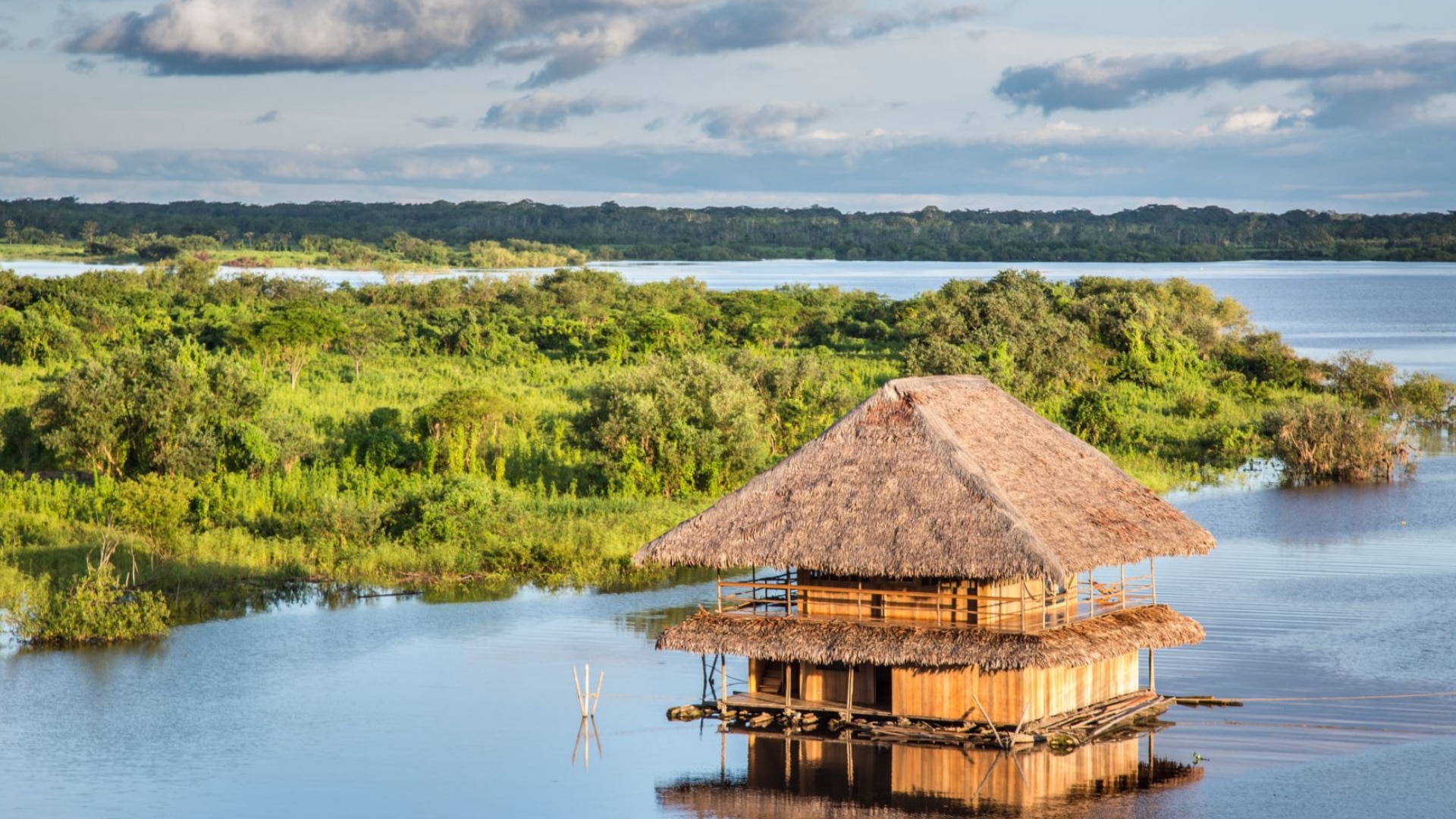 The Amazon River surprises national and foreign tourists.  (Andean)