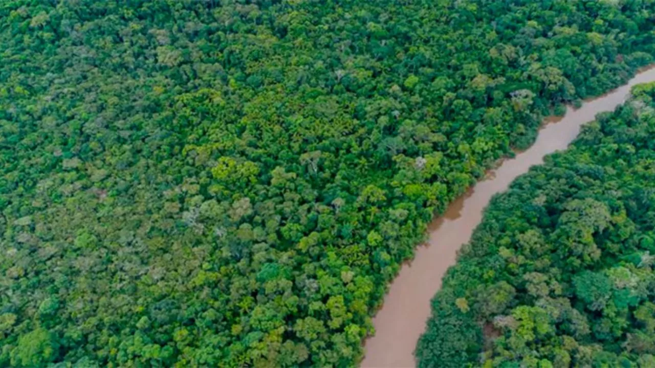 A helicopter with three occupants disappears in the Amazon
