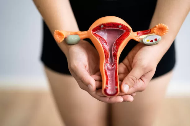 AI technology would allow predicting the evolution of low-grade endometrial tumors
