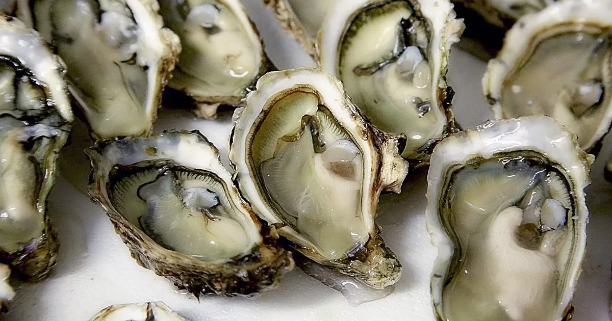 Bacteria found in shellfish are linked to the death of a person in NY
