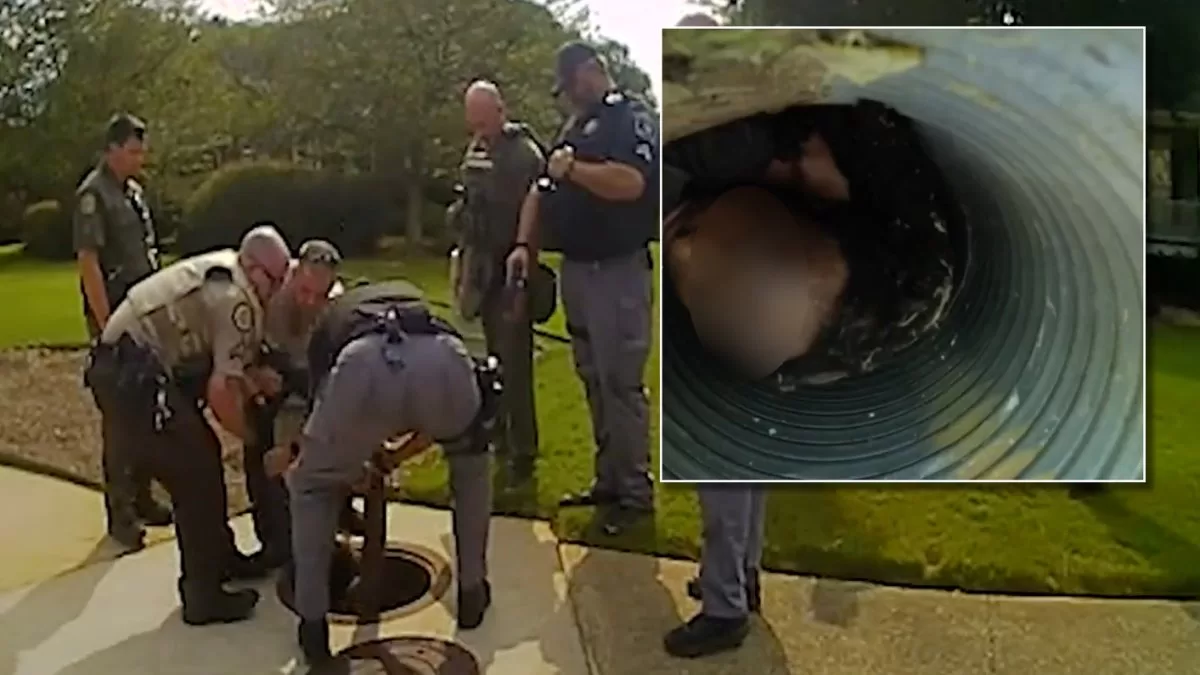 Caught on video: they find a suspect hiding inside a sewer
