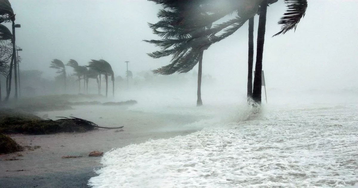 Chances of intense hurricane season double
