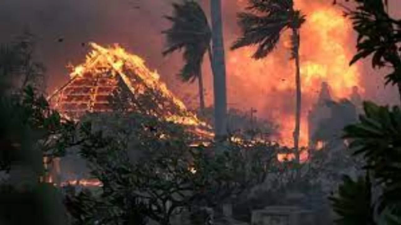 Death toll in Hawaii from wildfires rises to 55
