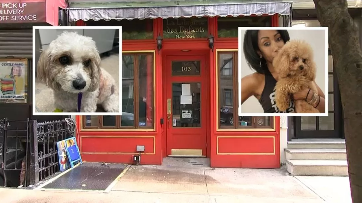 Dog dies in escalating dog attacks at NYC children's bookstore
