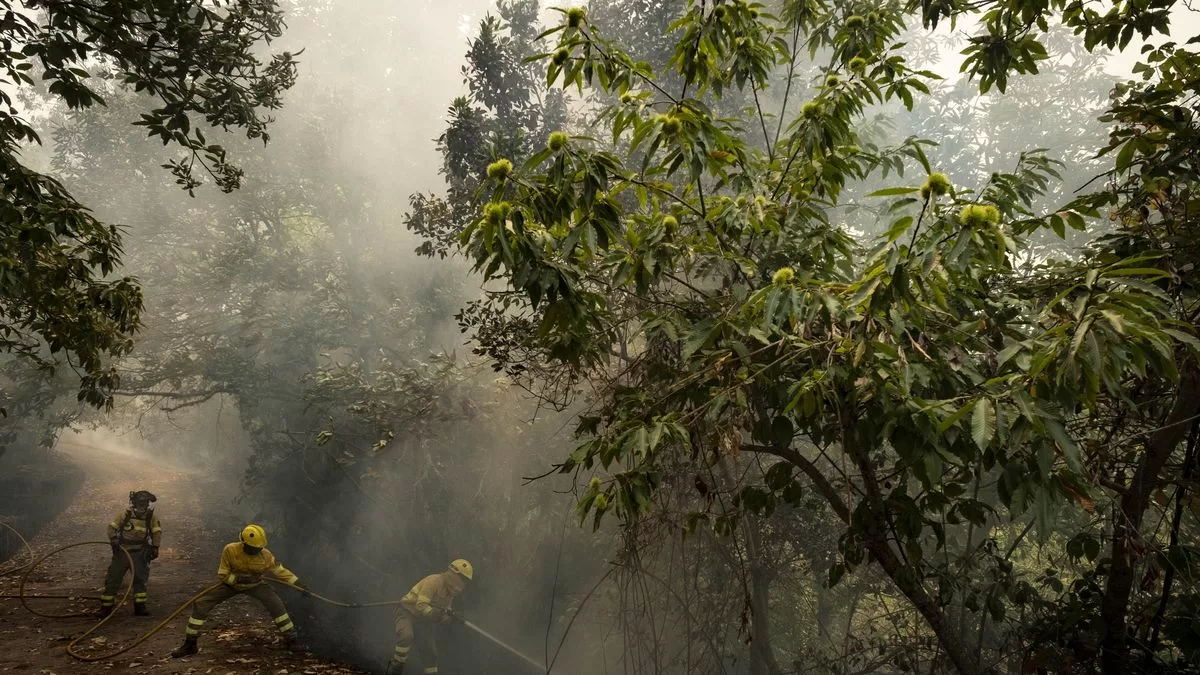Drop in temperatures helps firefighters fight the fire on the Spanish island of Tenerife
