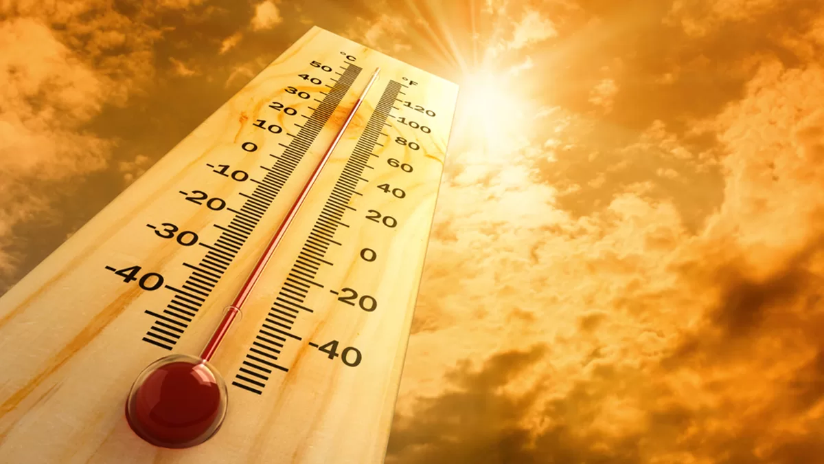 Excessive heat warning issued for 29 municipalities
