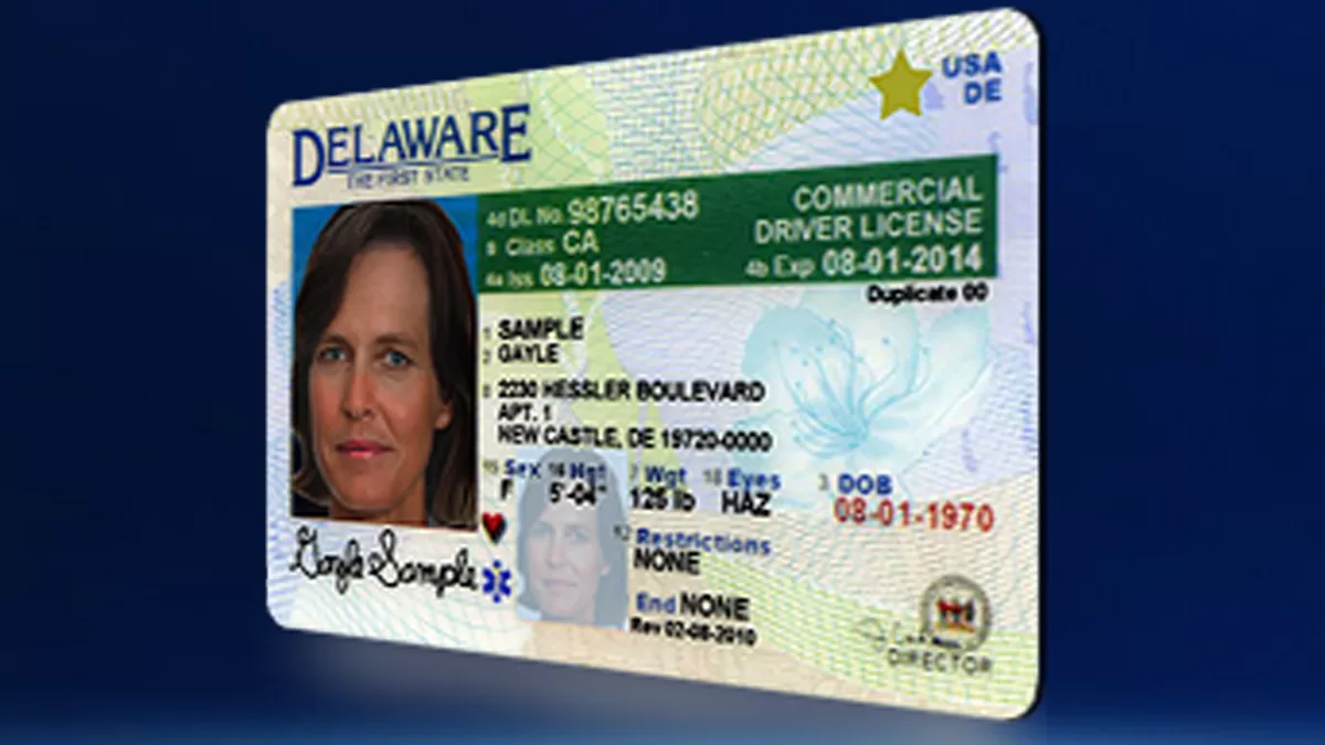 Florida prohibits licenses issued to undocumented immigrants in other states
