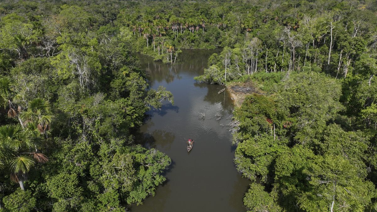Indigenous leader inspires Amazon city to grant legal personality to endangered river
