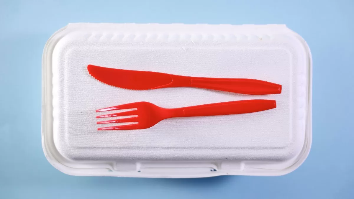 NYC now bans single-use plastics in takeout and delivery food service
