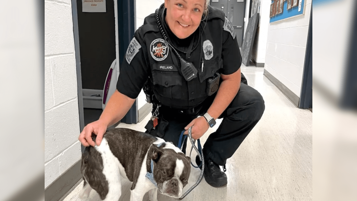 Owner abandons her French bulldog at Pittsburgh airport because she couldn't get on the flight, police say
