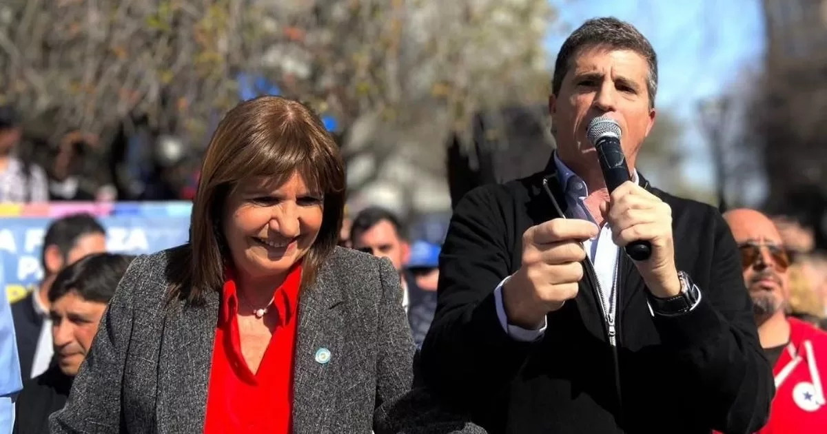 Patricia Bullrich's candidates who could not sustain the hawk victory
