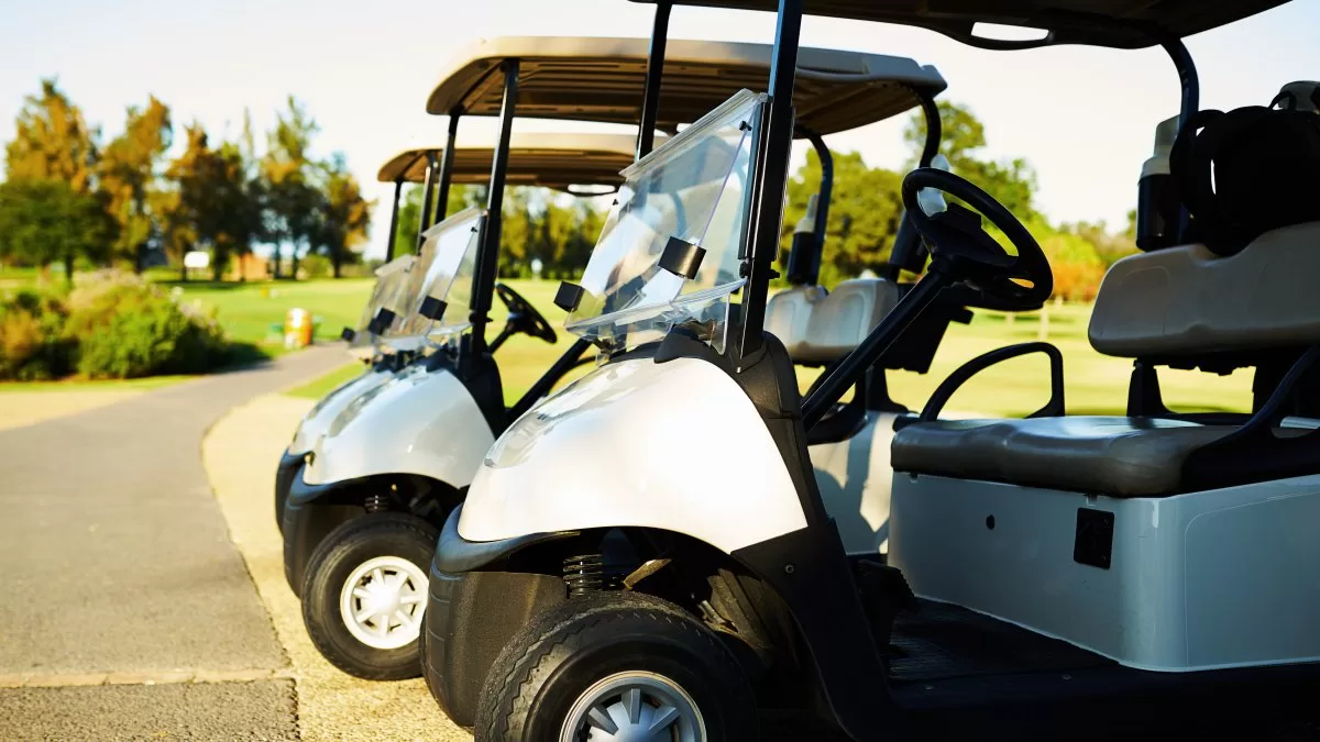 Teens charged with robbing golf cart at gunpoint in Reston
