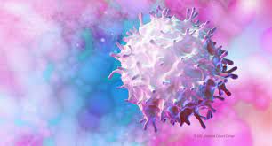 As part of the potential therapies, an antibody will be investigated that could act against the creation of blood vessels in tumors and modulate the immune system so that it can eliminate tumor cells / File