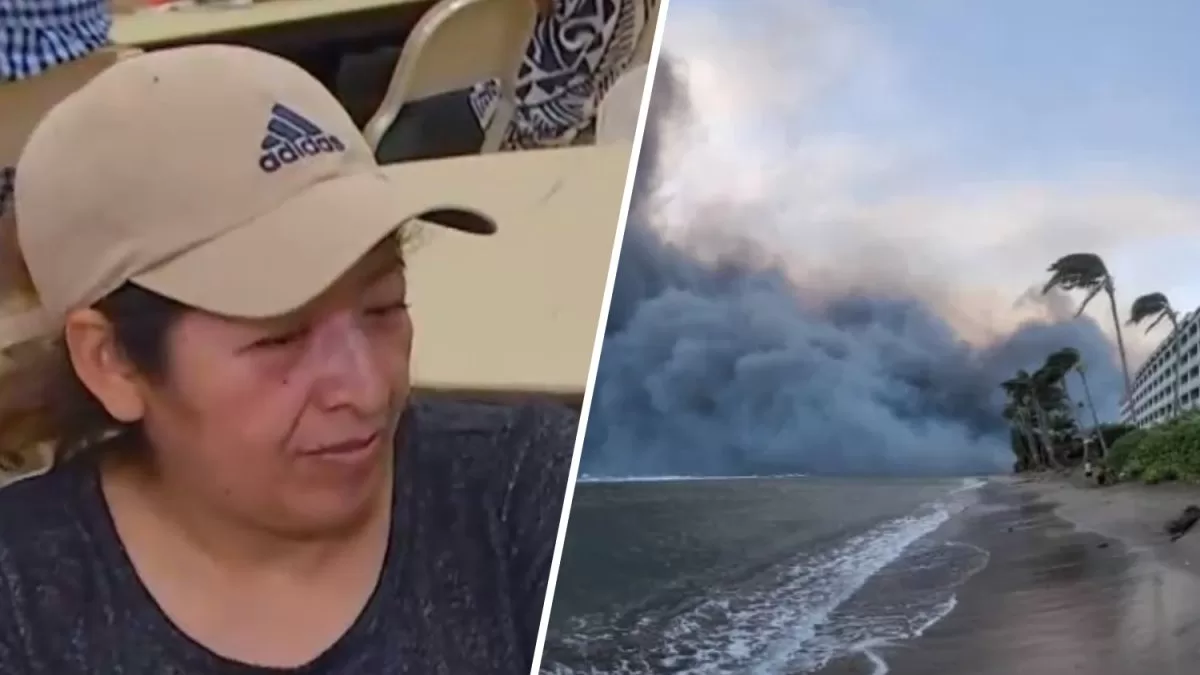 They threw themselves into the sea: California tourist tells how he survived with his family the fire in Maui
