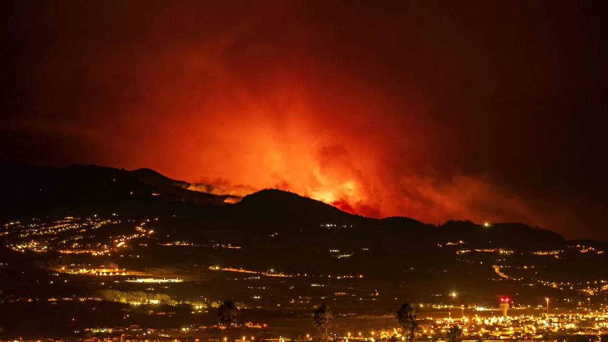 Thousands evacuated before the advance of the fire in Tenerife, Canary Islands
