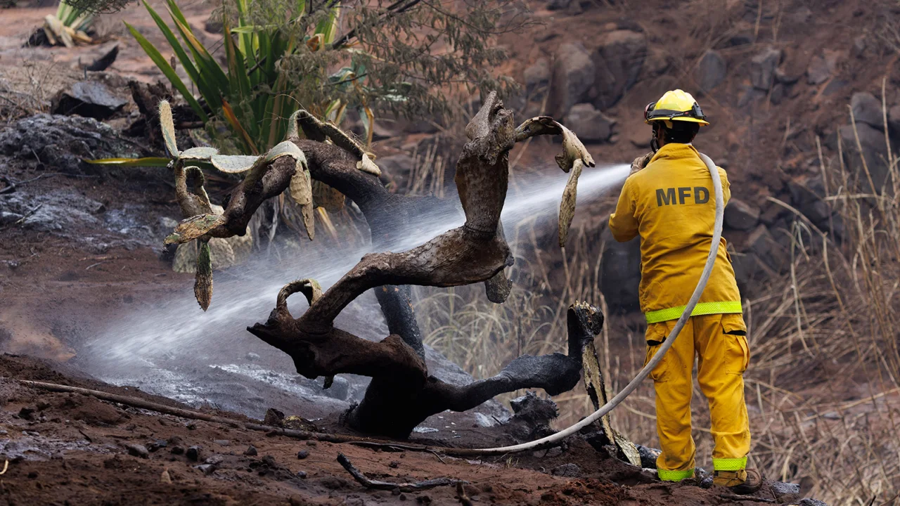 What we know about the Maui fire, the deadliest in a century in the US
