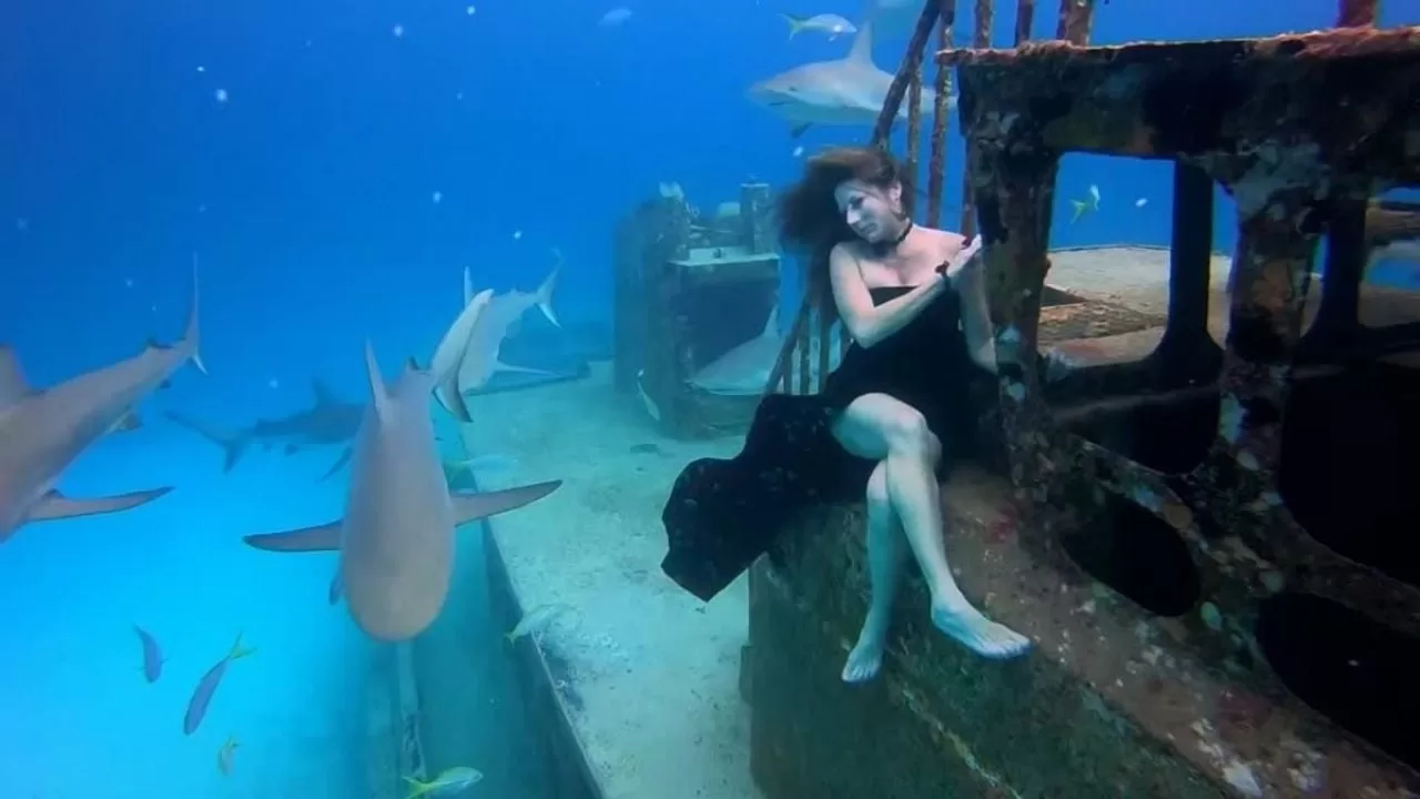 Woman braves the depths and sharks for an impressive modeling shoot
