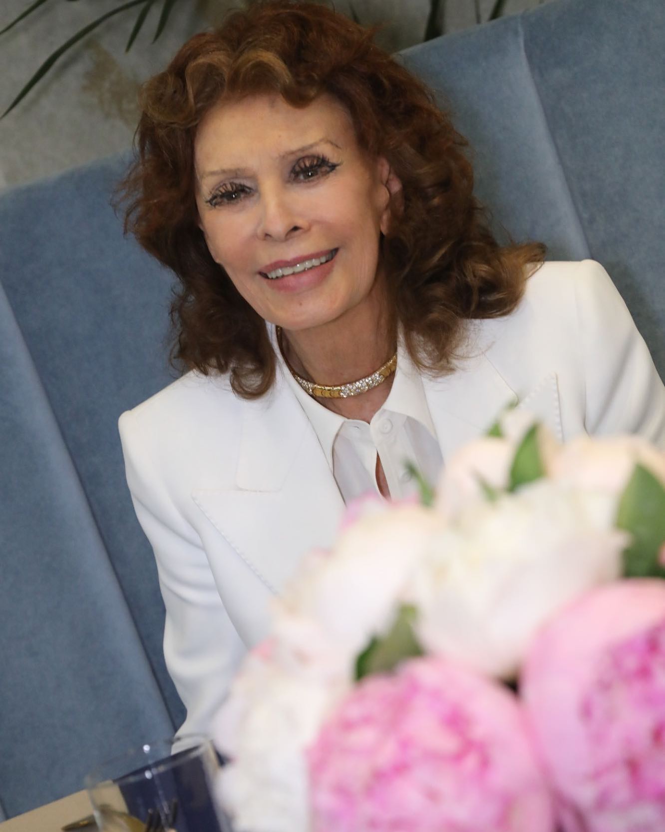 Read more about the article Sophia Loren, operated on for a hip fracture at age 89