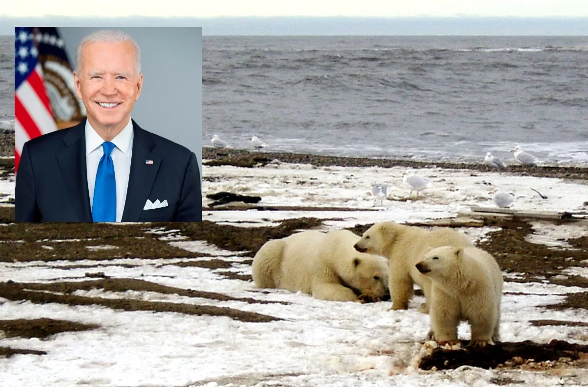 Joe Biden Reportedly to Cancel Alaska Wildlife Drilling Leases