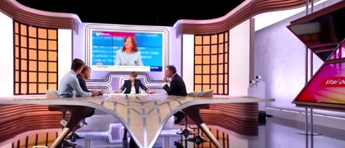 You are currently viewing Media C: discover the new columnists of the France 5 media show
