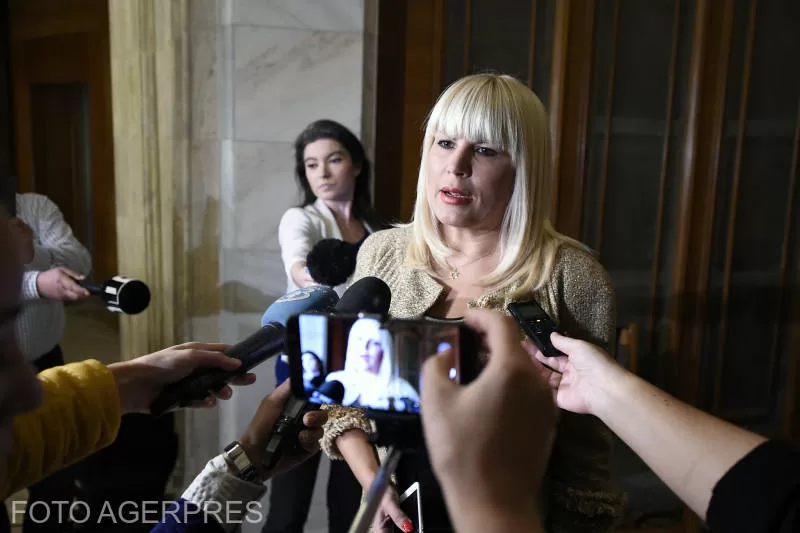 You are currently viewing ANAF continues the execution of Elena Udrea and puts up for sale the most expensive asset so far