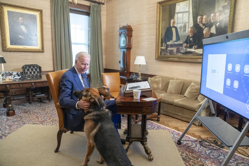 You are currently viewing Joe Biden’s dog Commander has bitten a Secret Service agent again