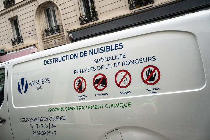 Read more about the article “Nobody’s Safe” VIDEO.  Paris, invaded by bedbugs / People also filmed them in buses and cinemas