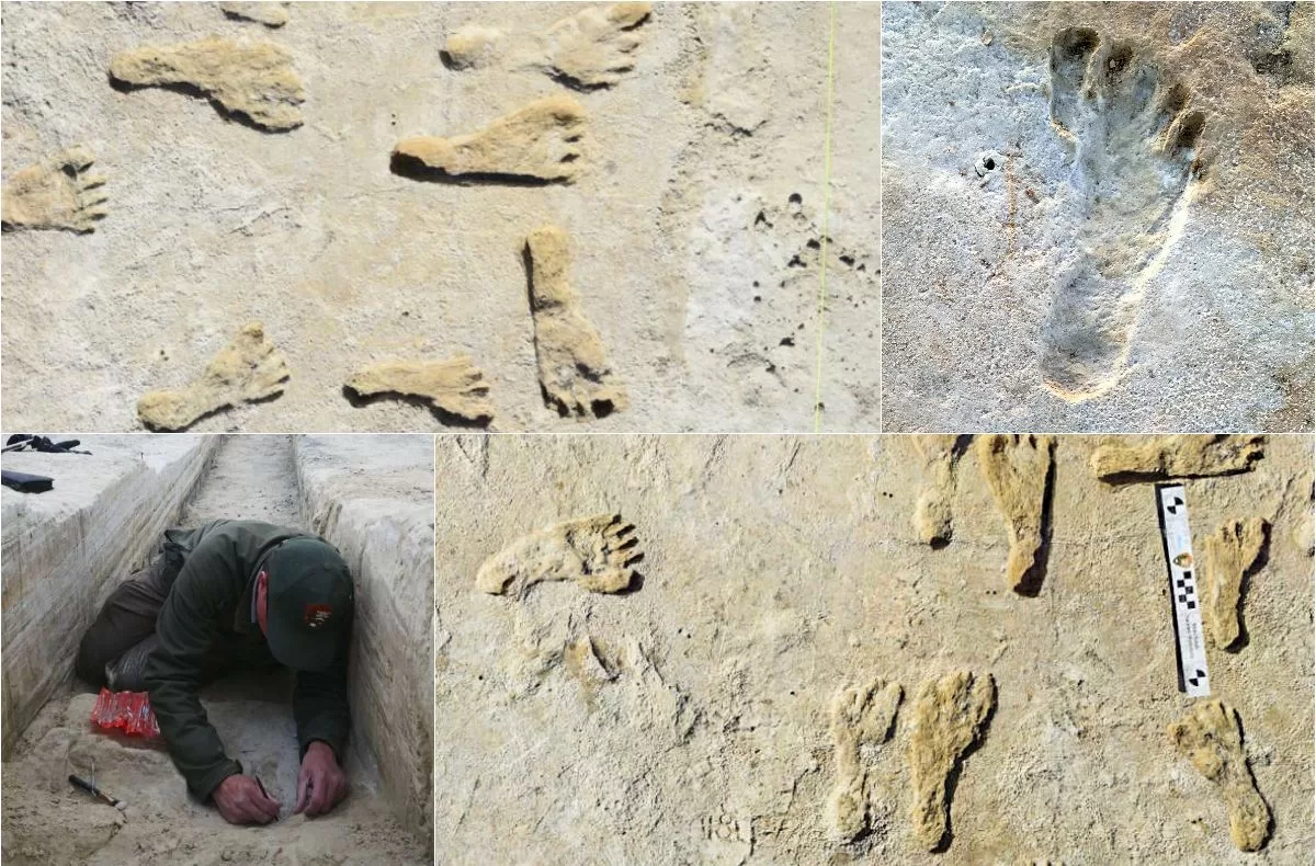 Ancient Human Footprints in New Mexico