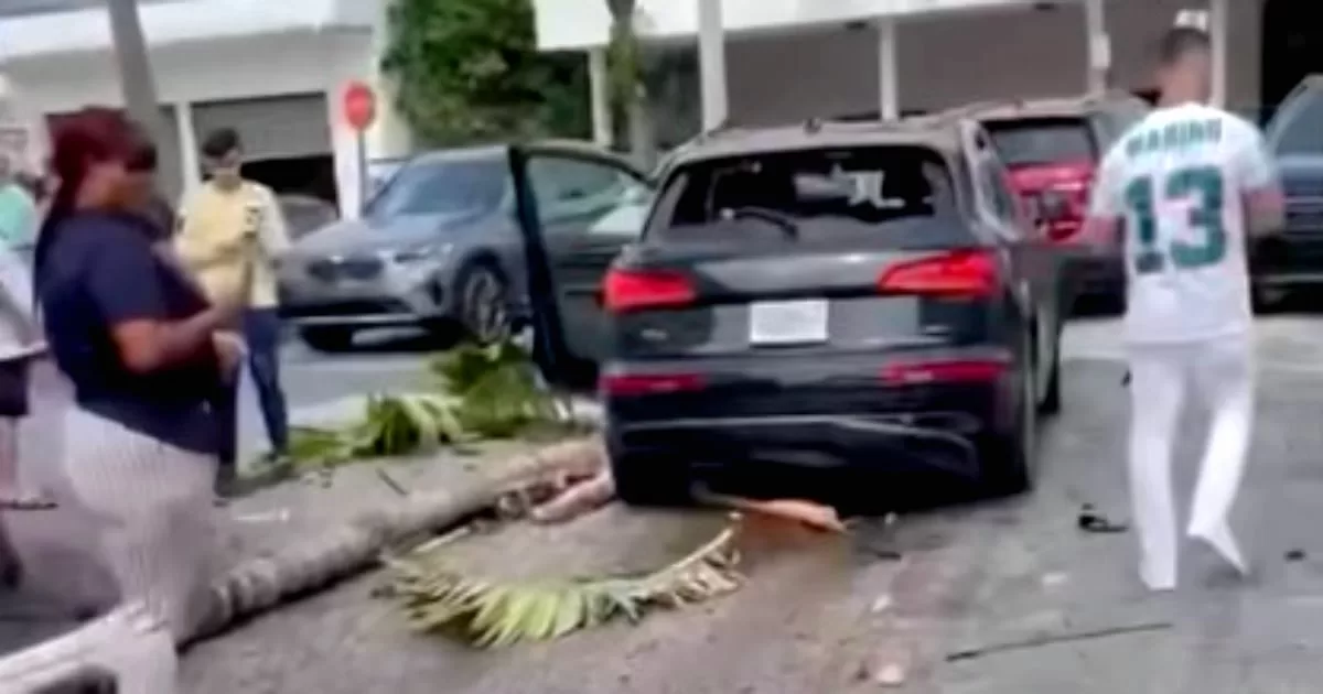 Audi SUV crashes into BMW dealership in Miami

