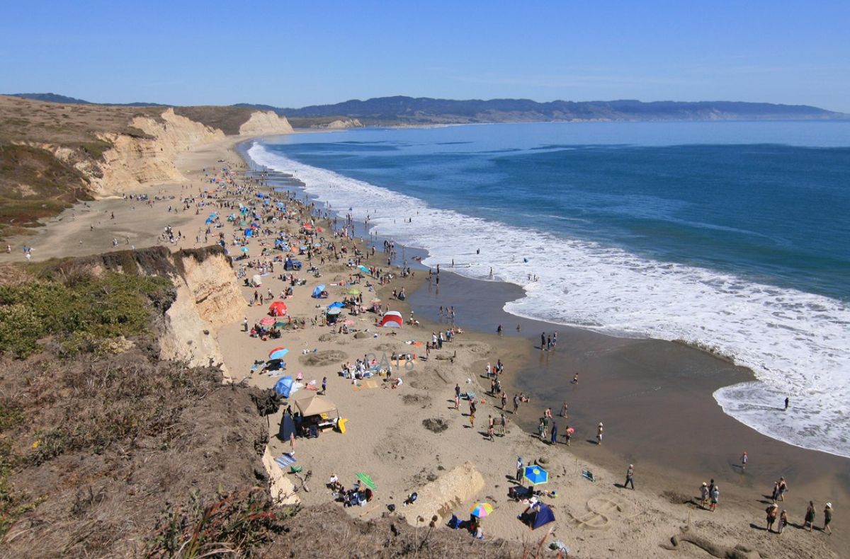 Man Missing After Possible Shark Attack Point Reyes Beach