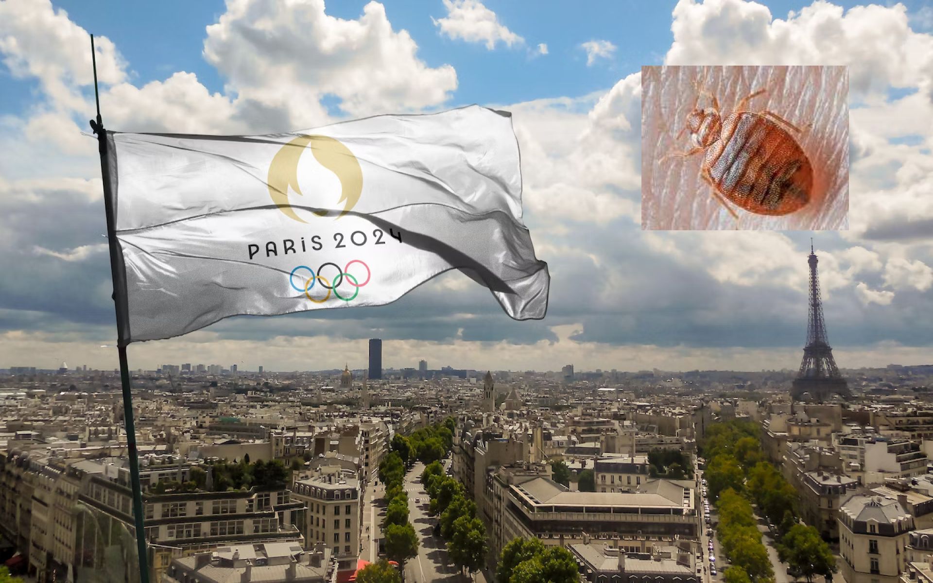 bedbug outbreak in paris before 2024 olympics